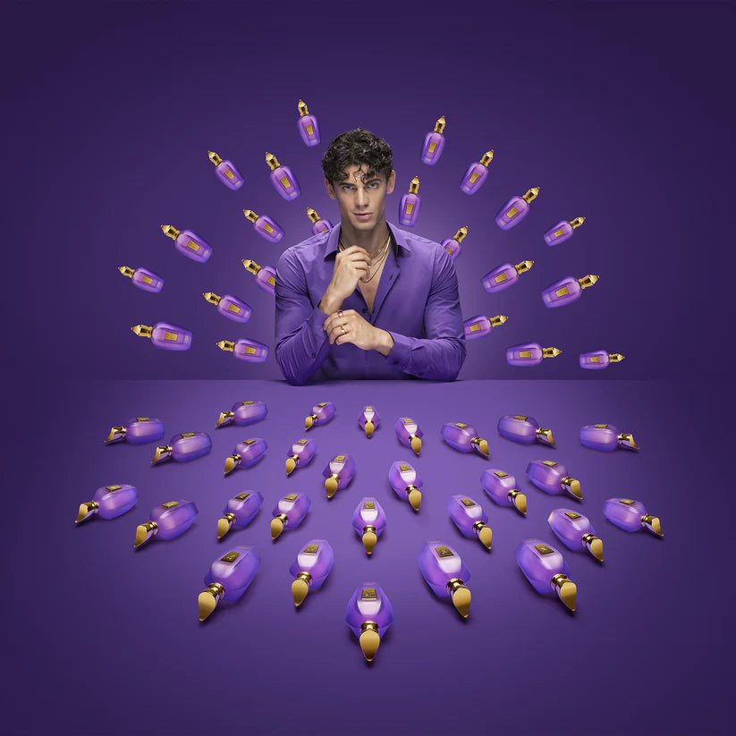 Purple Accento